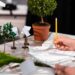 Environmental Consultancy